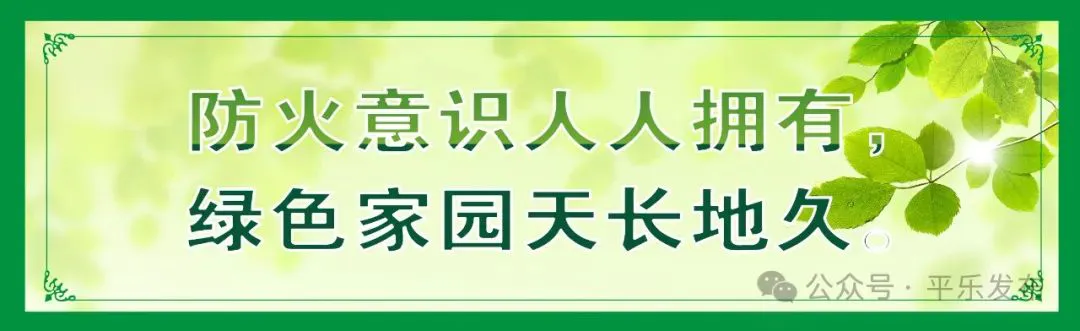 如何选择适合篮球康复训练的器材_2